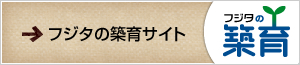 フジタの築育サイト