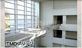 TMD橋