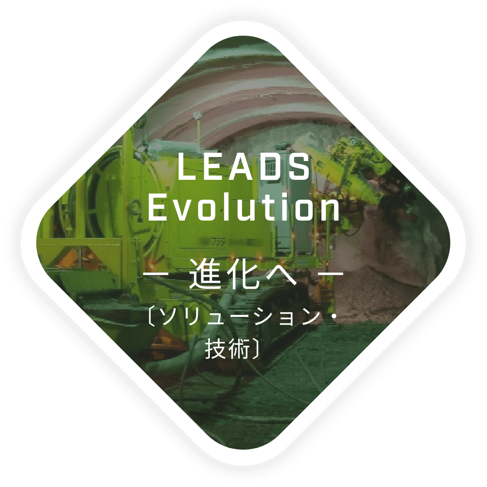 LEADS Evolution