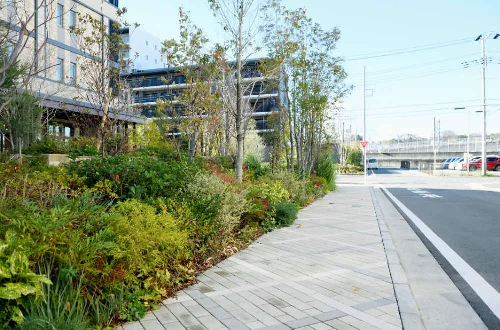 物件周辺の街並み