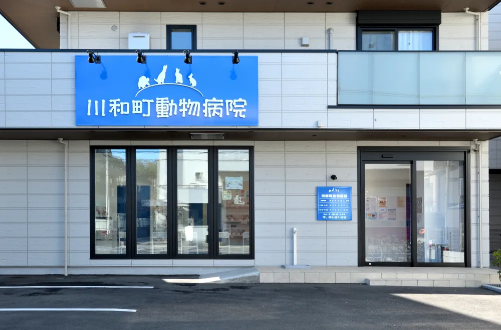 川和町動物病院